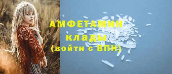 крисы Аркадак