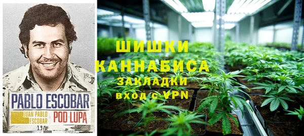 крисы Аркадак