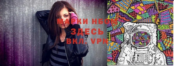 крисы Аркадак