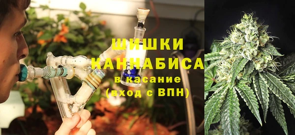 крисы Аркадак