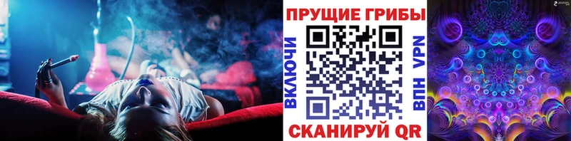 Псилоцибиновые грибы прущие грибы  Сухиничи 